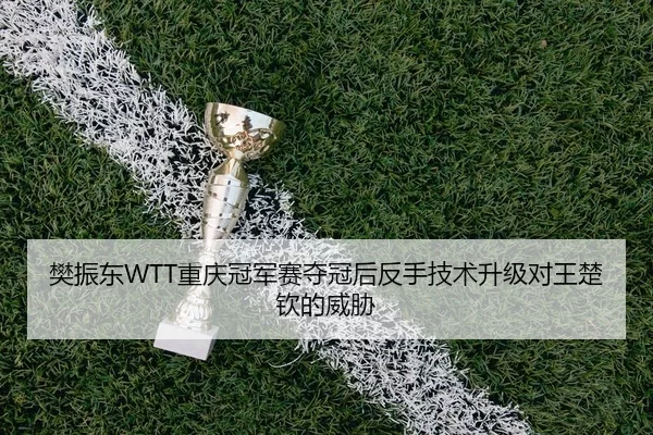 樊振东WTT重庆冠军赛夺冠后反手技术升级对王楚钦的威胁